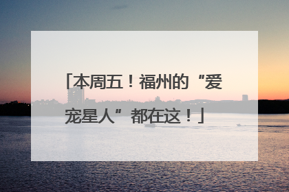 本周五！福州的“爱宠星人”都在这！