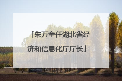 朱万奎任湖北省经济和信息化厅厅长