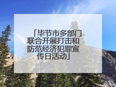 毕节市多部门联合开展打击和防范经济犯罪宣传日活动