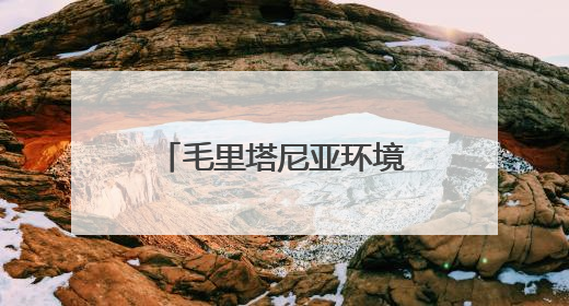 毛里塔尼亚环境部长：中非绿色合作播种非洲“绿色长城”的未来