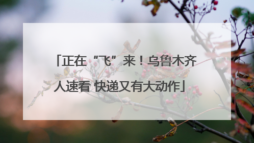 正在“飞”来！乌鲁木齐人速看 快递又有大动作