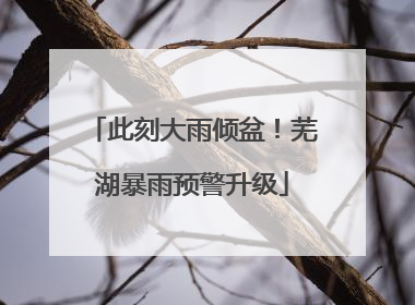 此刻大雨倾盆！芜湖暴雨预警升级
