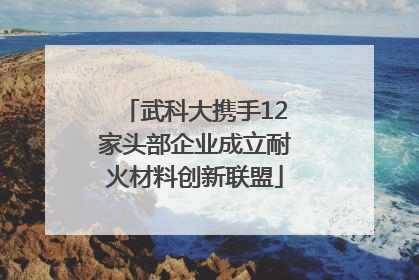 武科大携手12家头部企业成立耐火材料创新联盟