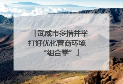 武威市多措并举打好优化营商环境“组合拳”