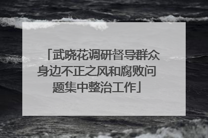 武晓花调研督导群众身边不正之风和腐败问题集中整治工作