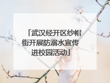 武汉经开区纱帽街开展防溺水宣传进校园活动