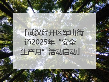 武汉经开区军山街道2025年“安全生产月”活动启动