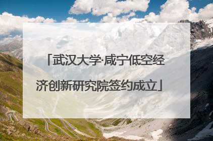 武汉大学·咸宁低空经济创新研究院签约成立