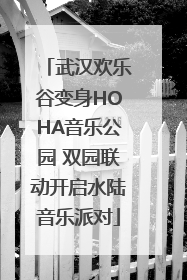 武汉欢乐谷变身HOHA音乐公园 双园联动开启水陆音乐派对