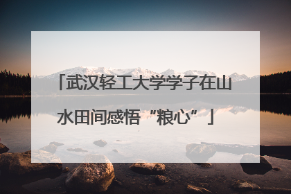 武汉轻工大学学子在山水田间感悟“粮心”