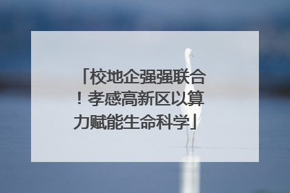 校地企强强联合！孝感高新区以算力赋能生命科学