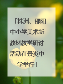 株洲、邵阳中小学美术新教材教学研讨活动在景炎中学举行