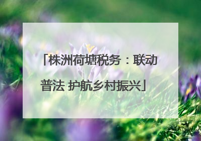 株洲荷塘税务：联动普法 护航乡村振兴