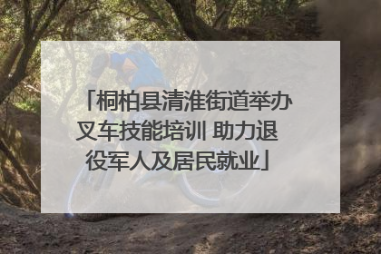 桐柏县清淮街道举办叉车技能培训 助力退役军人及居民就业