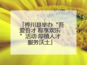 桦川县举办“吾爱吾才 粽享欢乐”活动 厚植人才服务沃土