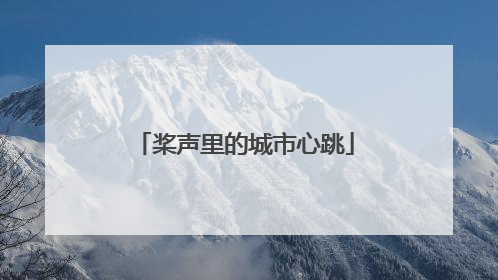 桨声里的城市心跳