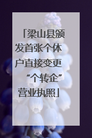 梁山县颁发首张个体户直接变更“个转企”营业执照