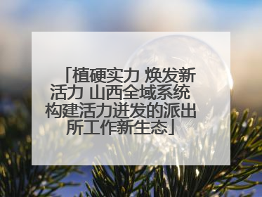 植硬实力 焕发新活力 山西全域系统构建活力迸发的派出所工作新生态