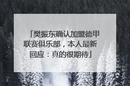 樊振东确认加盟德甲联赛俱乐部，本人最新回应：真的很期待