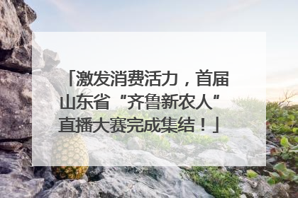 激发消费活力，首届山东省“齐鲁新农人”直播大赛完成集结！