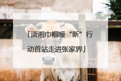 潇湘巾帼暖“新”行动首站走进张家界
