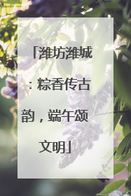 潍坊潍城：粽香传古韵，端午颂文明