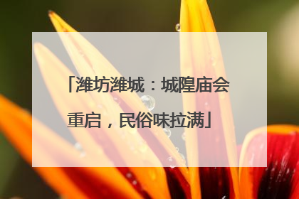 潍坊潍城：城隍庙会重启，民俗味拉满