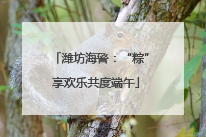 潍坊海警：“粽”享欢乐共度端午