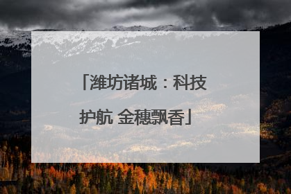 潍坊诸城：科技护航 金穗飘香