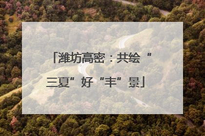 潍坊高密：共绘“三夏”好“丰”景