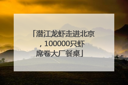 潜江龙虾走进北京，100000只虾席卷大厂餐桌