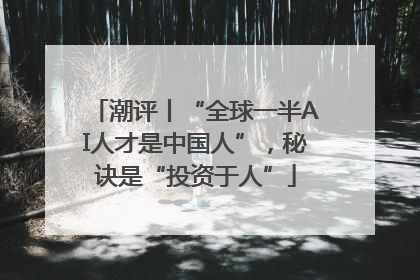 潮评丨“全球一半AI人才是中国人”，秘诀是“投资于人”