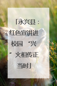 永兴县：红色宣讲进校园 “兴”火相传正当时