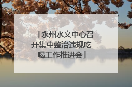 永州水文中心召开集中整治违规吃喝工作推进会