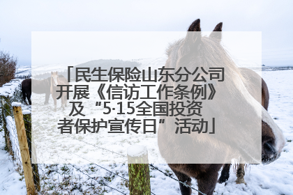 民生保险山东分公司开展《信访工作条例》及“5·15全国投资者保护宣传日”活动