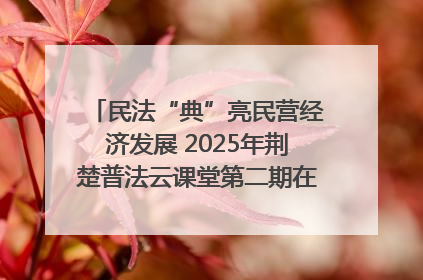 民法“典”亮民营经济发展 2025年荆楚普法云课堂第二期在武汉客厅开讲