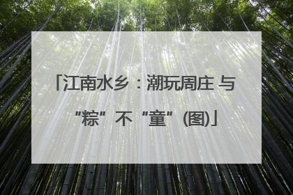 江南水乡：潮玩周庄 与“粽”不“童”(图)