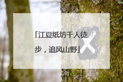 江夏纸坊千人徒步，追风山野