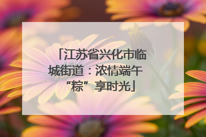 江苏省兴化市临城街道：浓情端午 “粽”享时光