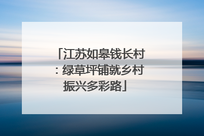 江苏如皋钱长村：绿草坪铺就乡村振兴多彩路