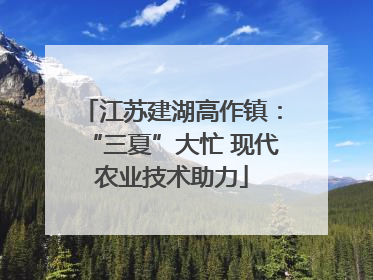 江苏建湖高作镇：“三夏”大忙 现代农业技术助力