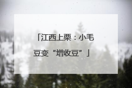 江西上栗：小毛豆变“增收豆”