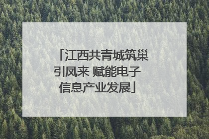 江西共青城筑巢引凤来 赋能电子信息产业发展