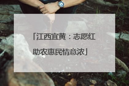 江西宜黄：志愿红助农惠民情意浓