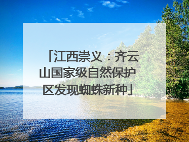 江西崇义：齐云山国家级自然保护区发现蜘蛛新种