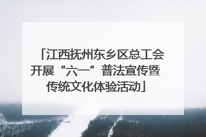 江西抚州东乡区总工会开展“六一”普法宣传暨传统文化体验活动