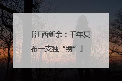 江西新余：千年夏布一支独“绣”