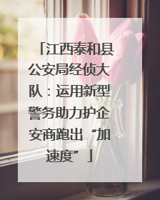 江西泰和县公安局经侦大队：运用新型警务助力护企安商跑出“加速度”