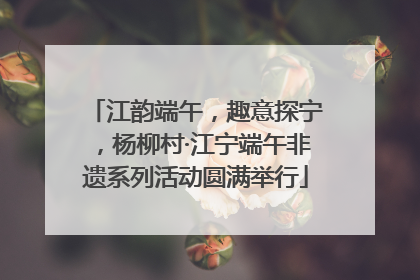 江韵端午，趣意探宁，杨柳村·江宁端午非遗系列活动圆满举行