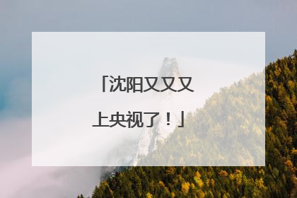 沈阳又又又上央视了！